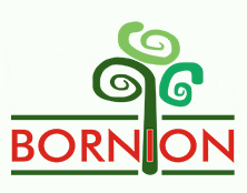 Bornion Timber Sdn Bhd